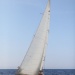 CC 2019 Macinaggio Saint Florent samedi 31 aout photo Françoise Tafani DR (6)