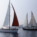 CC 2019 Macinaggio Saint Florent samedi 31 aout photo Olivier Mariotti DR  (5)