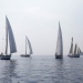 CC 2019 Macinaggio Saint Florent samedi 31 aout photo Olivier Mariotti DR  (14)