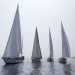 CC 2019 Macinaggio Saint Florent samedi 31 aout photo Olivier Mariotti DR  (20)