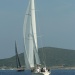 CC 2019 Macinaggio Saint Florent samedi 31 aout photo Olivier Mariotti DR  (22)