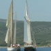 CC 2019 Macinaggio Saint Florent samedi 31 aout photo Olivier Mariotti DR  (23)