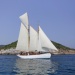 CC 2019 Macinaggio Saint Florent samedi 31 aout photo Olivier Mariotti DR  (24)
