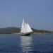 CC 2019 Macinaggio Saint Florent samedi 31 aout photo Olivier Mariotti DR  (26)
