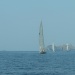 CC 2019 Macinaggio Saint Florent samedi 31 aout photo Olivier Mariotti DR  (33)
