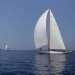CC 2019 Macinaggio Saint Florent samedi 31 aout photo Olivier Mariotti DR  (39)