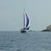 CC 2019 Macinaggio Saint Florent samedi 31 aout photo Olivier Mariotti DR  (43)