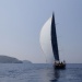 CC 2019 Macinaggio Saint Florent samedi 31 aout photo Olivier Mariotti DR  (44)
