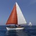 CC 2019 Macinaggio Saint Florent samedi 31 aout photo Olivier Mariotti DR  (48)