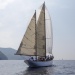 CC 2019 Macinaggio Saint Florent samedi 31 aout photo Olivier Mariotti DR  (55)