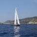 CC 2019 Macinaggio Saint Florent samedi 31 aout photo Olivier Mariotti DR  (58)