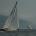 CC 2019 Macinaggio Saint Florent samedi 31 aout photo Olivier Mariotti DR  (62)
