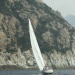 CC 2019 Macinaggio Saint Florent samedi 31 aout photo Olivier Mariotti DR  (78)