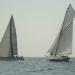 CC 2019 Macinaggio Saint Florent samedi 31 aout photo Olivier Mariotti DR  (80)