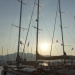 CC 2109 Port de Saint Florent samedi 31 aout photo Juliette Olmeta mairie de Saint Florent D (5)