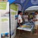 CC 2109 Port de Saint Florent samedi 31 aout photo Juliette Olmeta mairie de Saint Florent D (22)