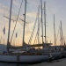 CC 2109 Port de Saint Florent samedi 31 aout photo Juliette Olmeta mairie de Saint Florent D (30)