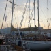 CC 2109 Port de Saint Florent samedi 31 aout photo Juliette Olmeta mairie de Saint Florent D (32)