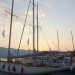 CC 2109 Port de Saint Florent samedi 31 aout photo Juliette Olmeta mairie de Saint Florent D (34)
