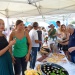 CC 2109 Port de Saint Florent samedi 31 aout photo Juliette Olmeta mairie de Saint Florent D (49)