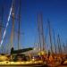 CC 2109 Port de Saint Florent samedi 31 aout photo Juliette Olmeta mairie de Saint Florent D (60)