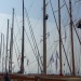 CC 2019 Saint Florent dimanche 1 septembre Photo Juliette Olmeta mairie de Saint Florent DR(9)