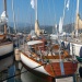 CC 2019 Saint-Florent dimanche 1 septembre photo Gerard Zivy DR (10)