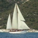 CC 2019 Saint Florent Trophée de la ville dimanche 1 septembre photo Olivier Mariotti DR (14)