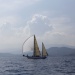 CC 2019 Saint Florent Trophée de la ville dimanche 1 septembre photo Olivier Mariotti DR (16)