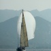 CC 2019 Saint Florent Trophée de la ville dimanche 1 septembre photo Olivier Mariotti DR (17)