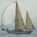 CC 2019 Saint Florent Trophée de la ville dimanche 1 septembre photo Olivier Mariotti DR (19)