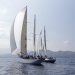 CC 2019 Saint Florent Trophée de la ville dimanche 1 septembre photo Olivier Mariotti DR (29)