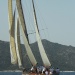 CC 2019 Saint Florent Trophée de la ville dimanche 1 septembre photo Olivier Mariotti DR (44)