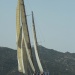 CC 2019 Saint Florent Trophée de la ville dimanche 1 septembre photo Olivier Mariotti DR (45)