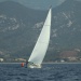 CC 2019 Saint Florent Trophée de la ville dimanche 1 septembre photo Olivier Mariotti DR (49)