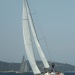 CC 2019 Saint Florent Trophée de la ville dimanche 1 septembre photo Olivier Mariotti DR (51)
