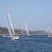 CC 2019 Saint Florent Trophee de la Ville dimanche 1 septembre photo Françooise Tafani DR (12)