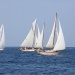 CC 2019 Saint Florent Trophee de la Ville dimanche 1 septembre photo Françooise Tafani DR (13)