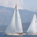 CC 2019 Saint Florent Trophee de la ville dimanche 01 septembre photo Françoise Tafani DR (27)