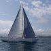 SY Quatre Quarts III CC 2019 photo Olivier Mariotti DR.jpg