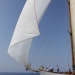 CC 2019 Macinaggio Saint Florent samedi 31 aout photo Olivier Mariotti DR  (51)