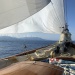 CC 2019 Sari Solenzara Bastia jeudi 29 aout photo Katia Kulawick Assante DR (29)