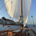 CC 2019 Sari Solenzara Bastia jeudi 29 aout photo Thibaud Assante DR (33)
