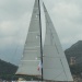 SY Mercator III CC 2019 mercredi 28 aout photo Olivier Mariotti DR (29)