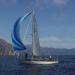 Corsica_Classic_2011_Calvi_Girolata_43