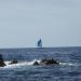 Corsica_Classic_2011_Girolata_Ajaccio_34