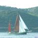 Corsica_Classic_2011_Girolata_Ajaccio_43