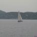 Corsica_Classic_2011_Propriano_Bonifacio_32