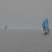 Corsica_Classic_2011_Propriano_Bonifacio_37