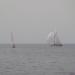 Corsica_Classic_2011_Propriano_Bonifacio_42